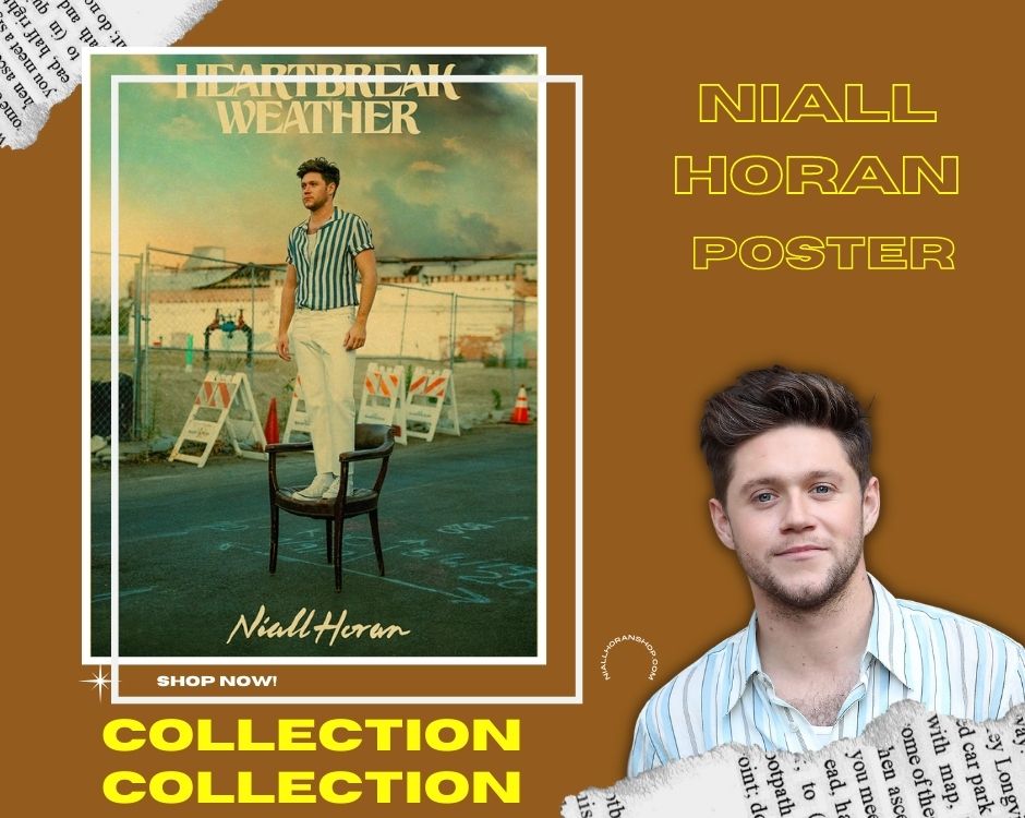 No edit david Dobrik poster - Niall Horan Shop